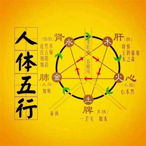 火金相克|五行生克（哲学理论）